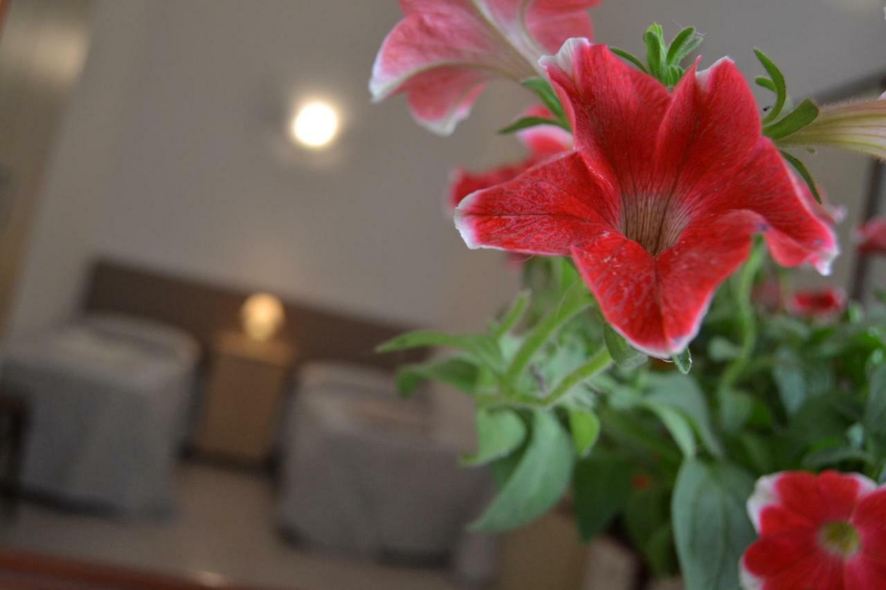 I Due Tesori Bed & Breakfast Сан Чезарио ди Лече Екстериор снимка